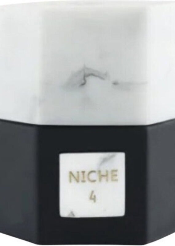 Niche 4