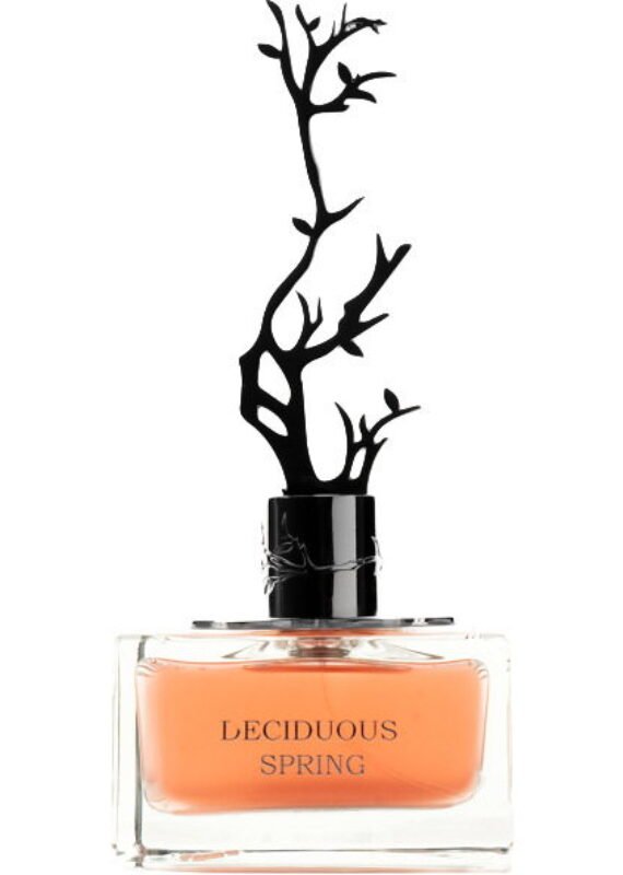 Deciduous Spring