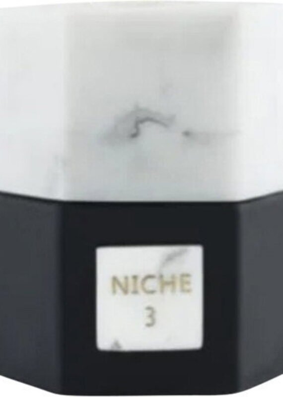 Niche 3