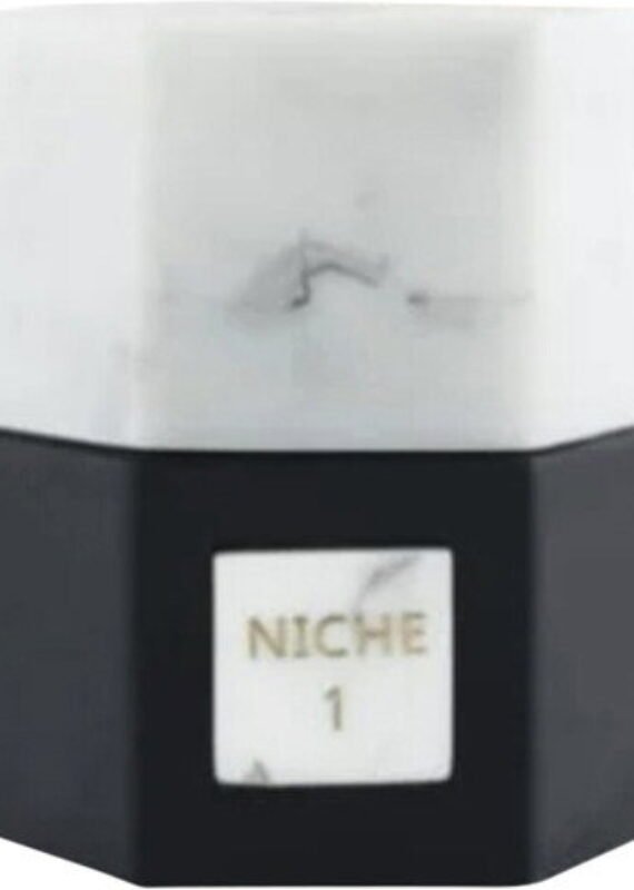 Niche 1